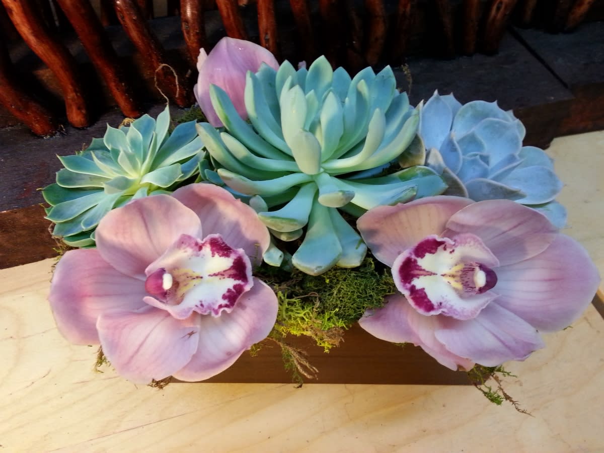Succulent arrangement with pink orchid blooms in a wooden container