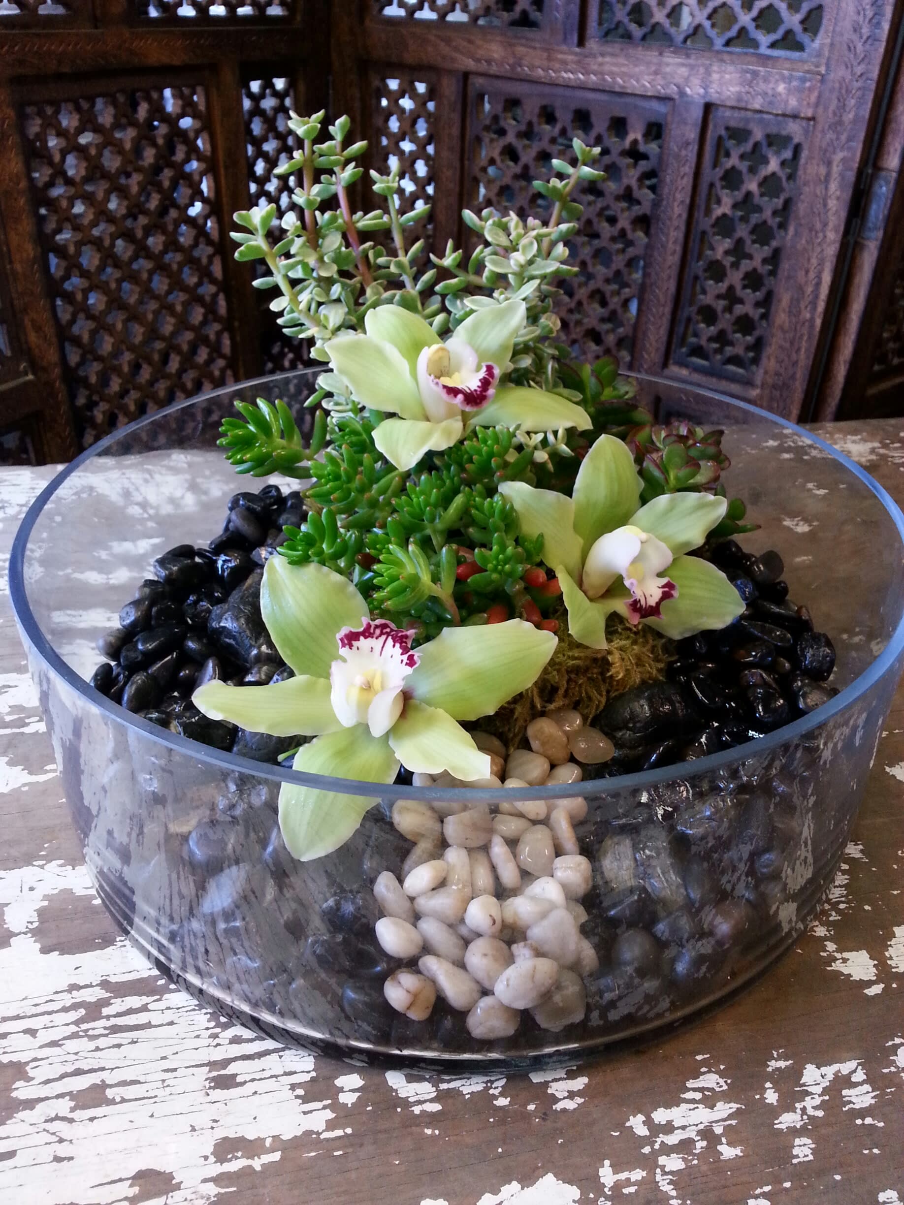 Succulent arrangement with pale green orchids in a glass bowl