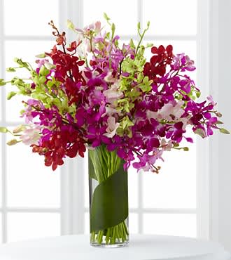 Bouquet of pink, purple, and red orchids in a tall glass vase