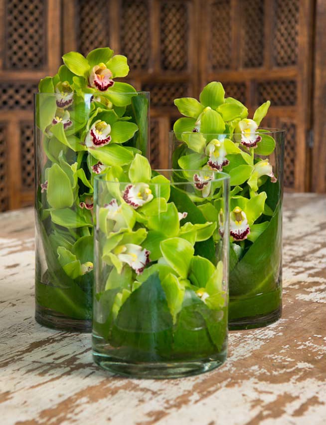 Three glass vases filled with bright green orchids