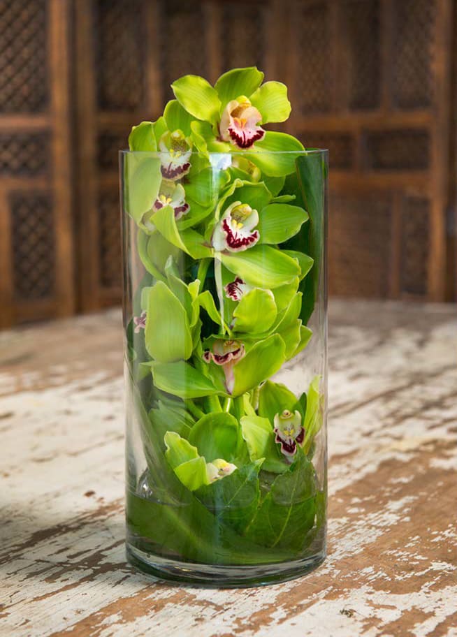 Green orchids arranged in a clear glass cylinder vase