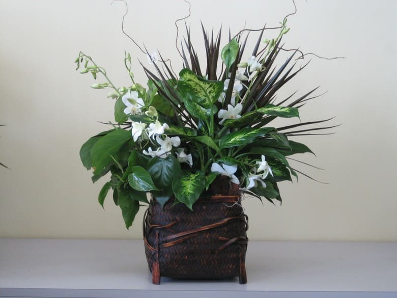 White orchids and mixed foliage in a woven basket planter