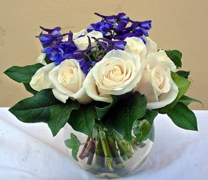 White Rose Bowl - Dozen roses with accent flowers in 6" bowl. 