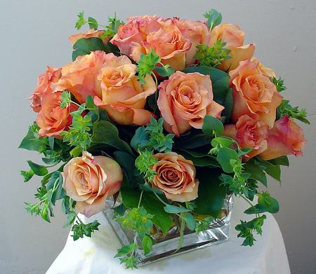 Peach Roses - Two dozen peach roses with standard greens. 