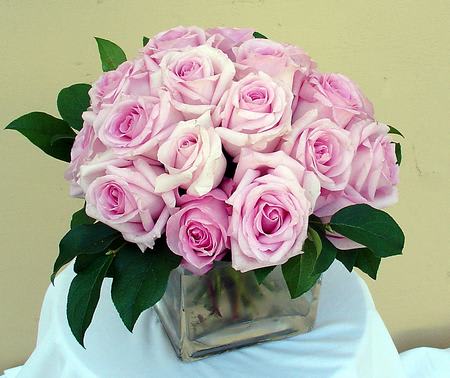 Modern Pink Roses - Two dozen pink roses in tight pack arrangement. 