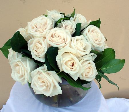 24 White Roses - Two dozen white roses with greens in 8" bowl. 