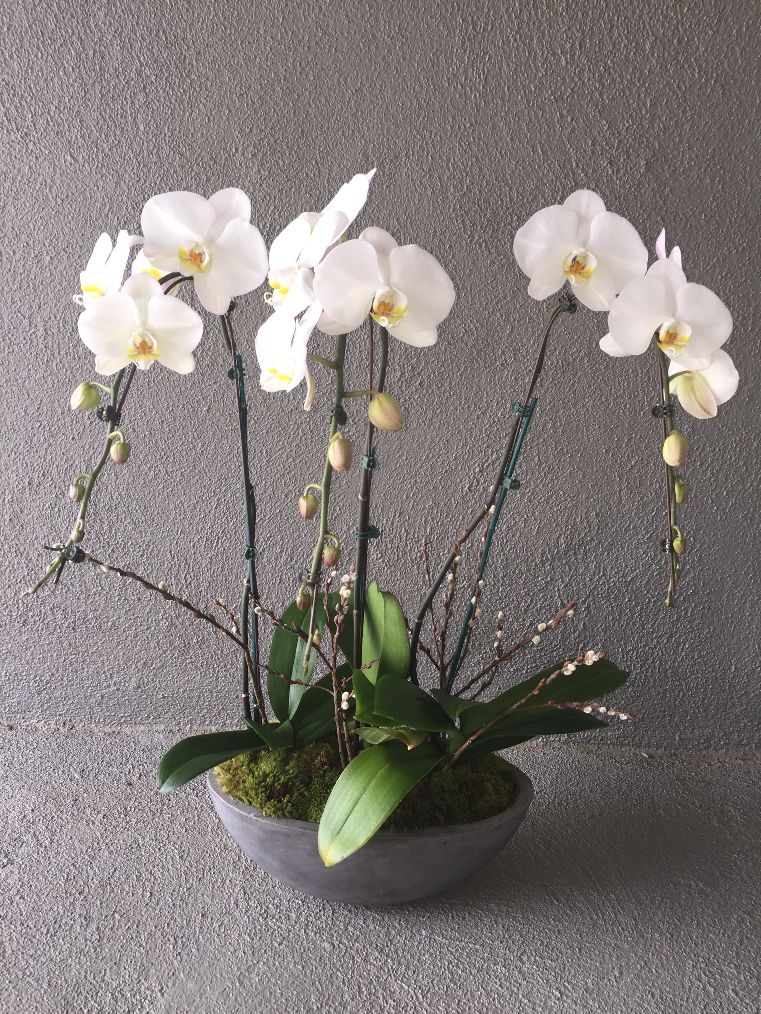 White orchids arranged in a shallow gray bowl