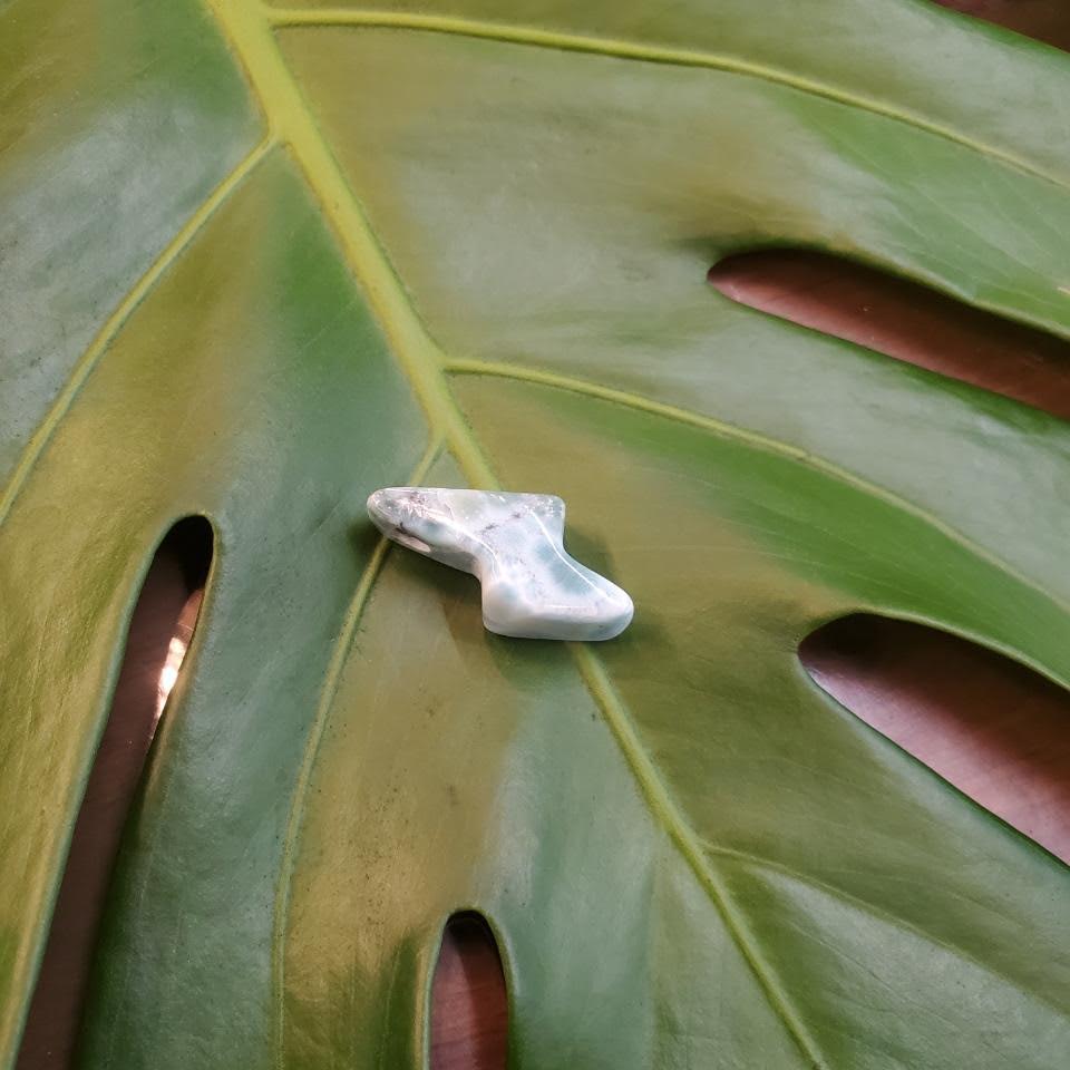 Small polished stone resting on a large green leaf