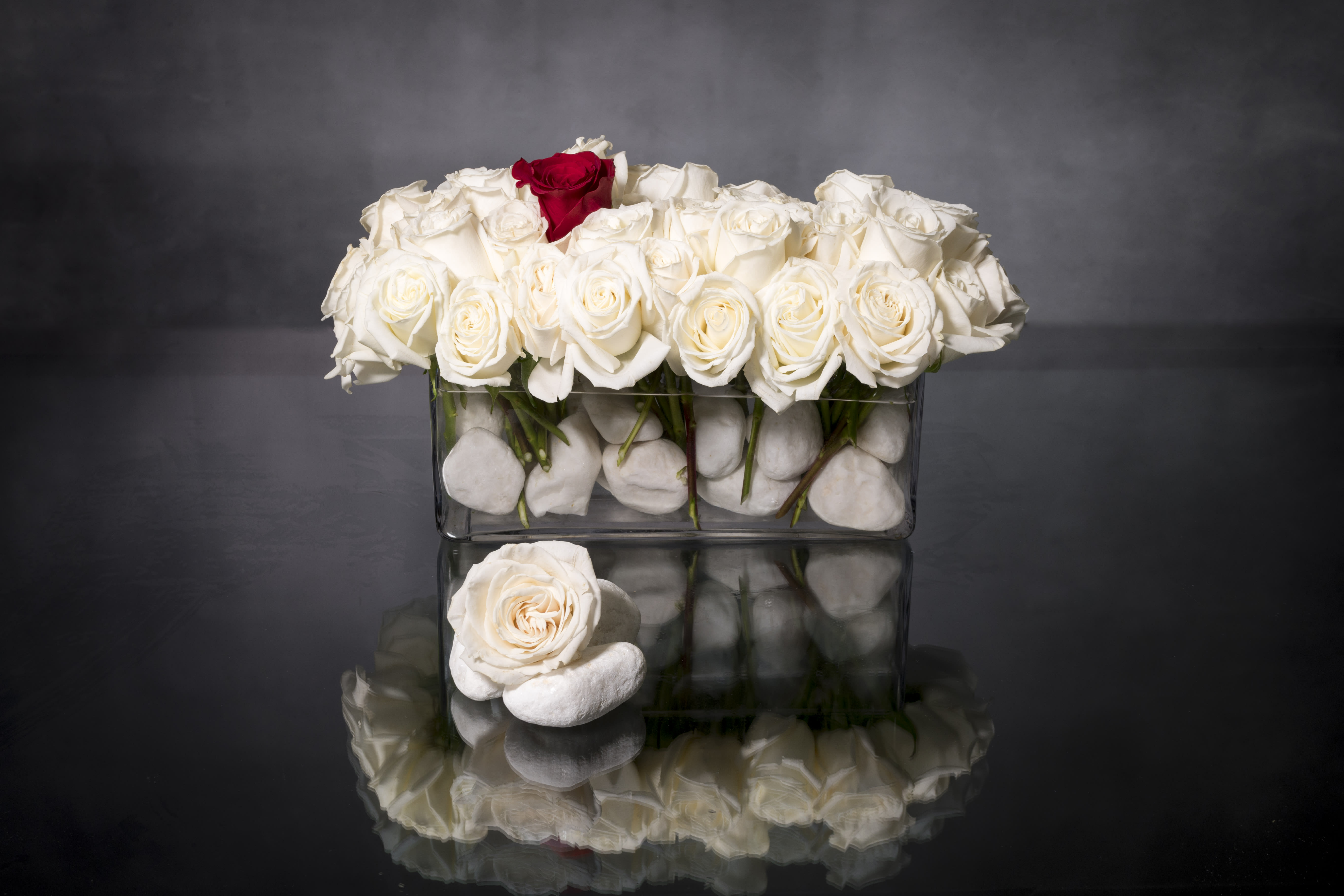 Rectangular glass vase of white roses with one red rose and white stones, with a single rose resting on stones in front.