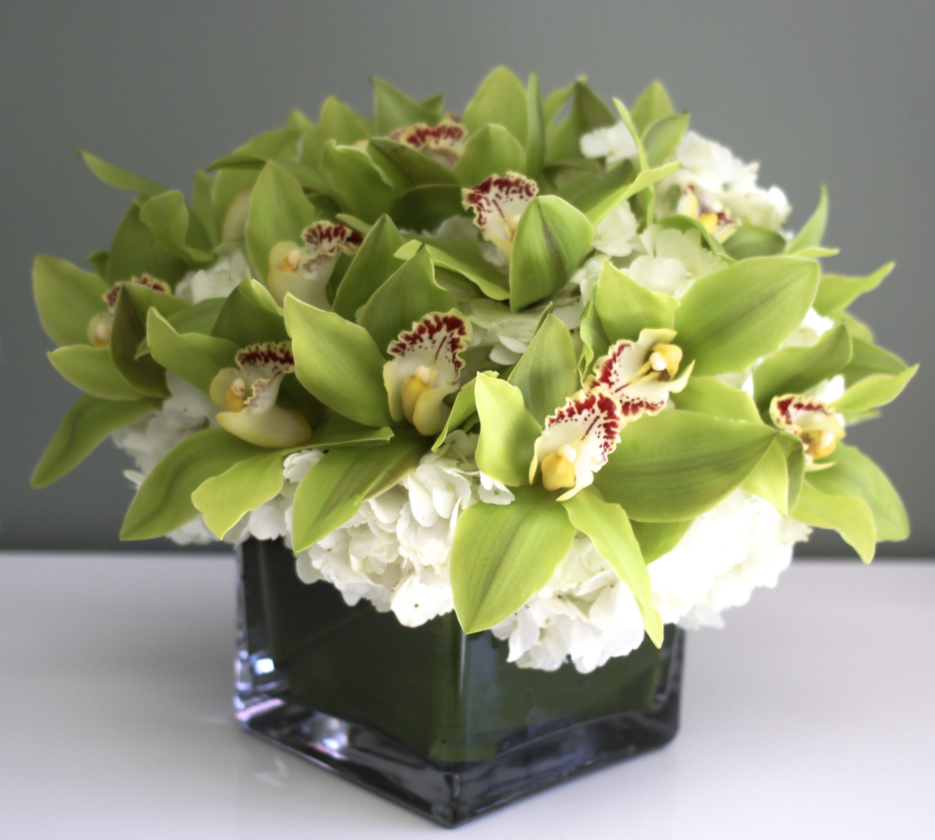 Green orchids and white flowers arranged in a square glass vase