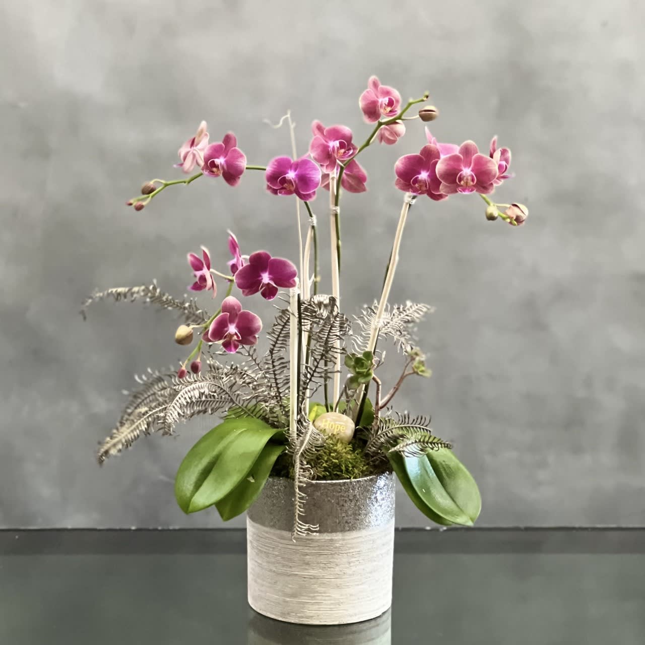 Burgundy Tango Orchids - 2 deep Burgundy double mini Orchid plants stand tall with some succulents in a beautiful white and silver ceramic vase - a very special gift of enduring beauty. "Hope" Rock Included.  Please pick the Rock wording you like for the arrangement and let us know under florist note.  Rock choices: Nature Happiness Strength Focus Health Family Gratitude Joy Relax Faith Freedom Laugh Friends Peace Wisdom Trust    approx 20 inches tall  