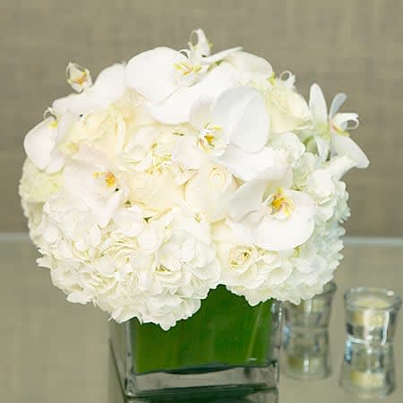 Pearl Elegance- Designers Choice  - Sophisticated but not pretentious, strong on design and rich in detail, this arrangement is the definition of a new classic featuring a spectacular array of white roses, hydrangeas, and seasonal orchids. This soothing white mix is sure to add a soft touch to any space.  6" Base, Approx: 12" H &amp; 12" W  Deluxe will include more orchids.  Premium will include 24 roses, and more than a dozen in a tall clear leafed glass vase.  