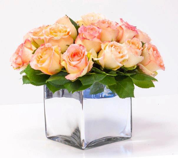 Peach Roses Squared  - Two-dozen pretty Peach Roses in a square glass vase from Sherman Oaks Florist. These colorful Roses are a surefire way to spread joy, and they make an excellent gift for Mother's Day, birthdays and other celebrations. Sherman Oaks Florist is your premier online flower shop for Sherman Oaks and the surrounding areas. Order flowers online from Sherman Oaks Florist for same day local flower delivery from conveniently located shops in Southern California to send flowers to Sherman Oaks, Los Angeles, Studio City, Encino, Burbank, The Hollywood Hills, Van Nuys, North Hollywood, Universal City, Winnetka and more.
