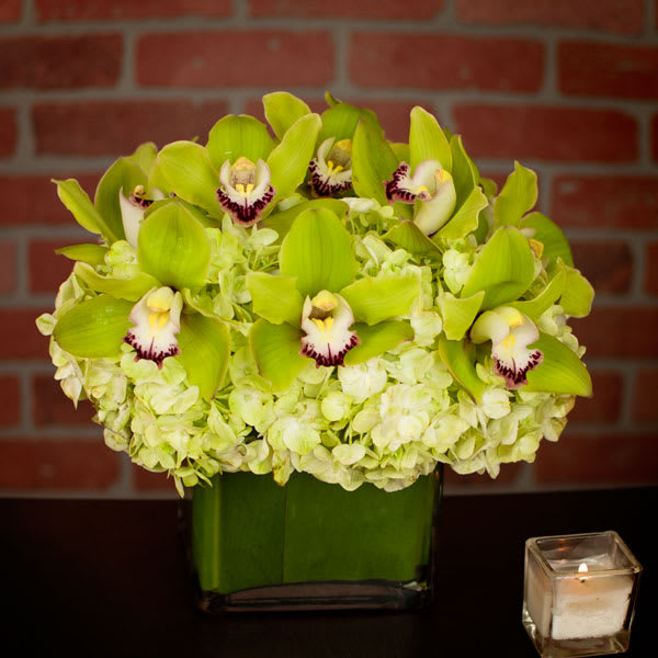 Green Tea Latte - My Sherman Oaks Florist presents 12 Green Orchids with Green Hydrangeas in a Glass Vase which is, approx 10" Round. This fabulous design is one of our shining stars ! This contemporary and spectacular piece will deliver your sentiments or good wishes in a big, beautiful and meaningful way. Approx: 12" W, 9" H, in a 5 x 5 leaf-lined glass container.  