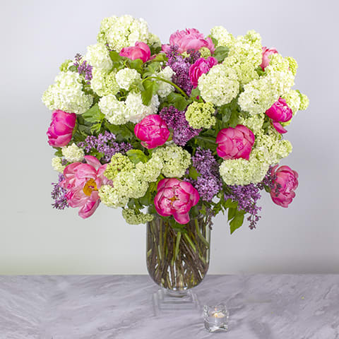 Delightful.... - An enchanting globe-shaped floral arrangement exuding delight, joy, and happiness. This radiant display features a bountiful mix of Peonies, Lilacs, and Viburnum artfully arranged in a glass vase, overflowing with cheerful colors and natural beauty. The vibrant hues and fragrant scents harmonize effortlessly, creating a captivating ensemble that brings a sense of warmth and elegance to any space. A stunning portrayal of nature's charm and grace, guaranteed to brighten moods and evoke smiles with its sheer beauty and lively presence.  11" tall vase overall 24" tall and 20" wide 