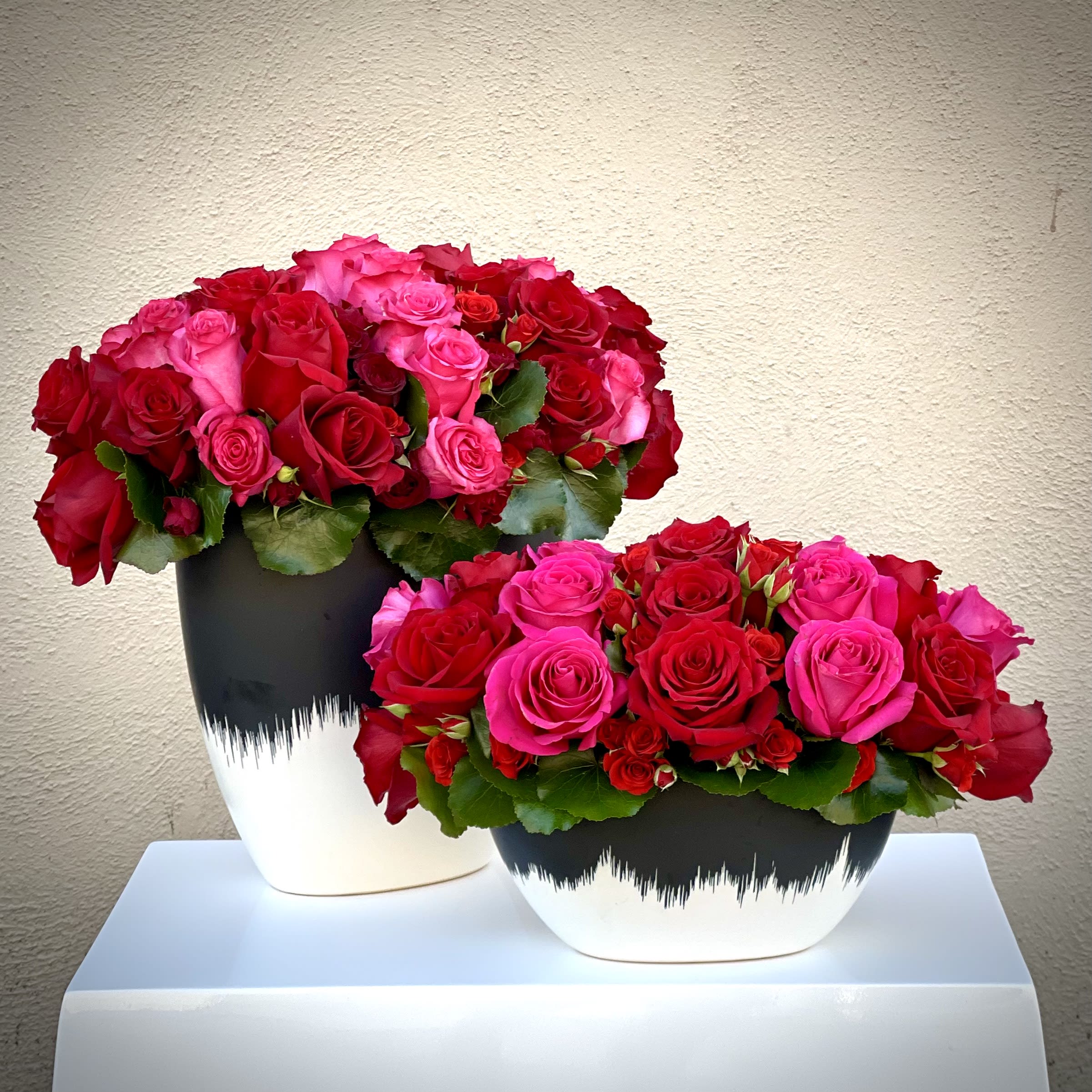 Rose parade - Over 100 blooms of roses and selling in set of two. 