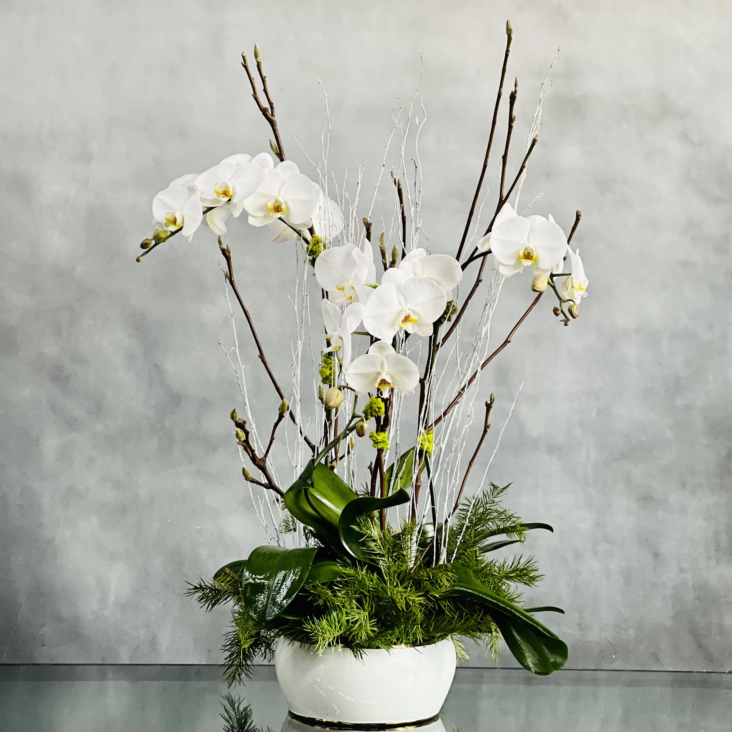 Holiday Orchid Zensation - Three stemmed White Orchids grace this design with their soft blooms dancing above. Accents of Holiday Branches and a White Ceramic  container brings the floral beauty into an earthy and natural environment.   Measurement: 30" Tall and 20" Wide