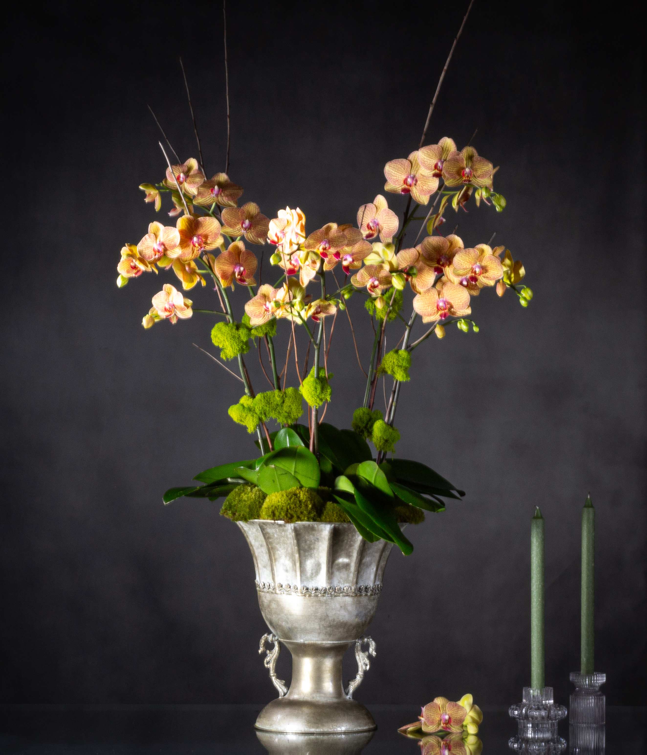 Pewter Orchids - 5 stems of exotic peach orchids in a pewter pedastel bowl