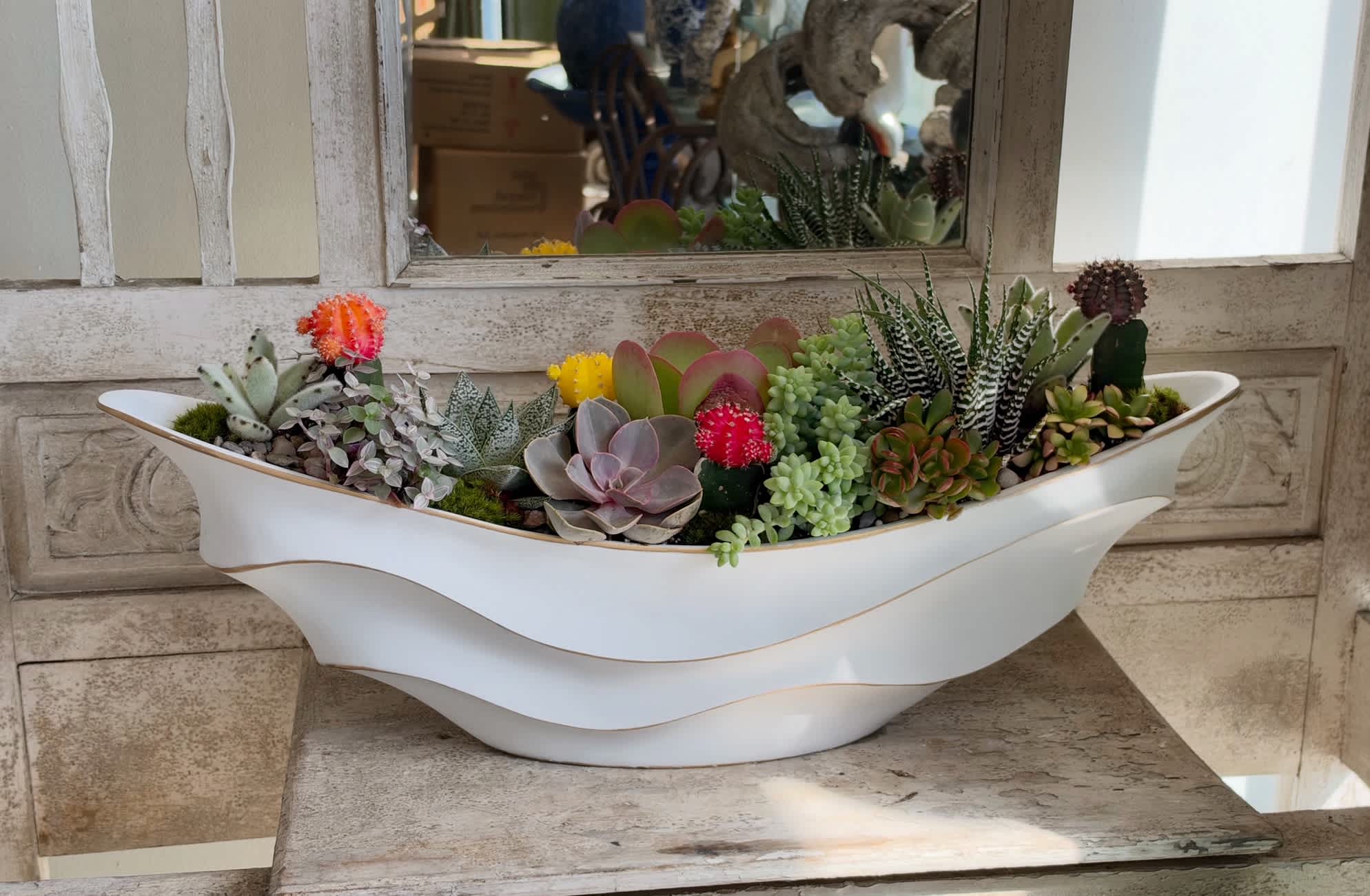 Succulent arrangement in a white boat-shaped planter
