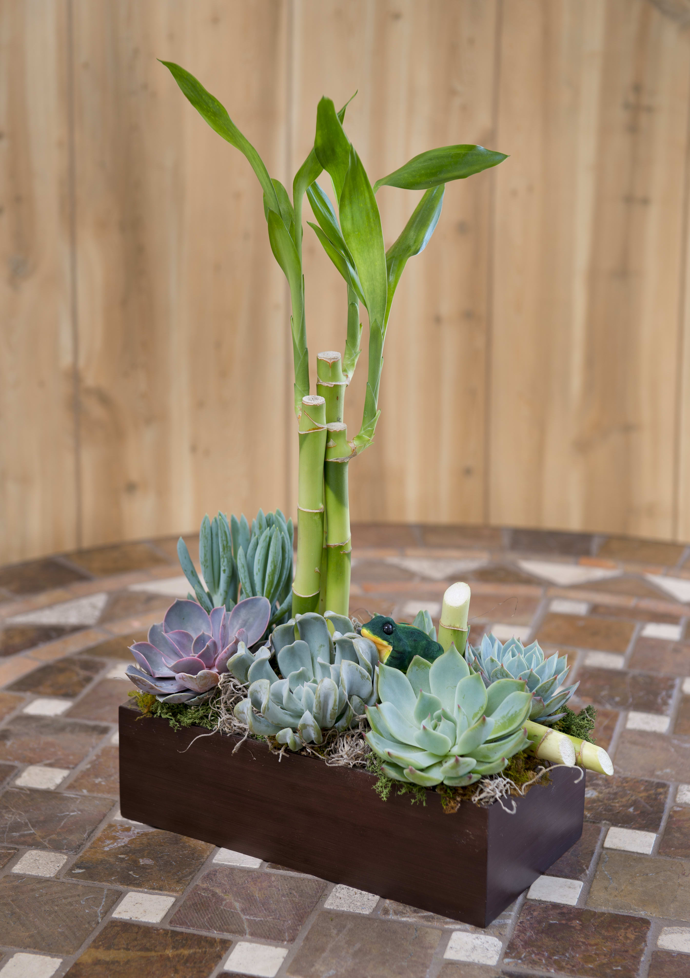Succulent arrangement with bamboo stalks in a rectangular wooden planter