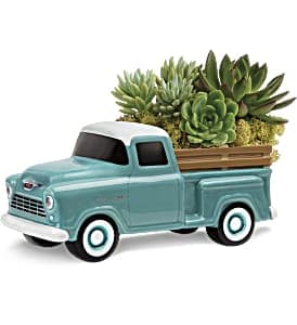 Succulent arrangement in a turquoise pickup truck planter
