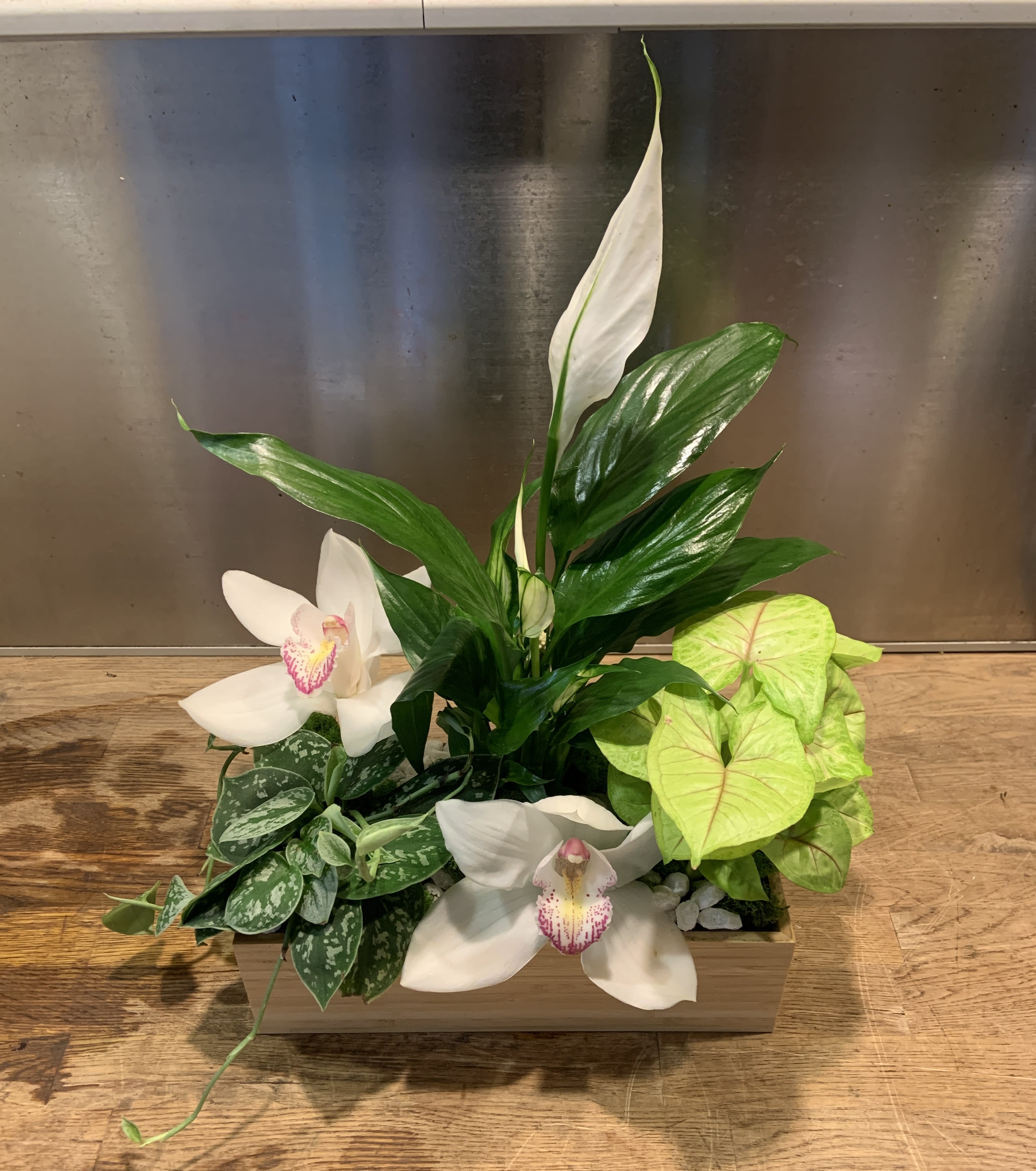 White orchids and green houseplants arranged in a rectangular wooden planter