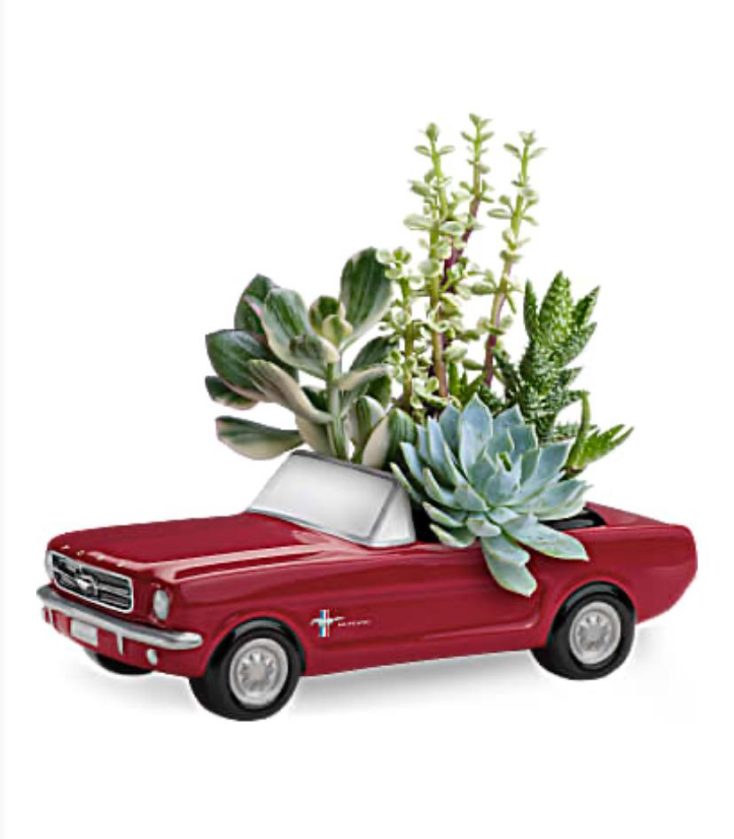 Succulent arrangement in a red toy pickup truck planter