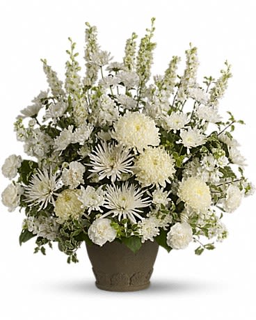 White chrysanthemum arrangement in a brown pot