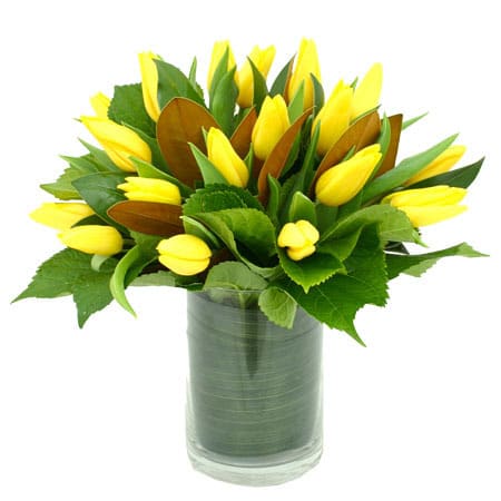 Yellow tulips arranged in a clear glass vase