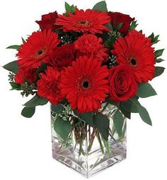 Red gerbera daisies and roses in a clear square vase