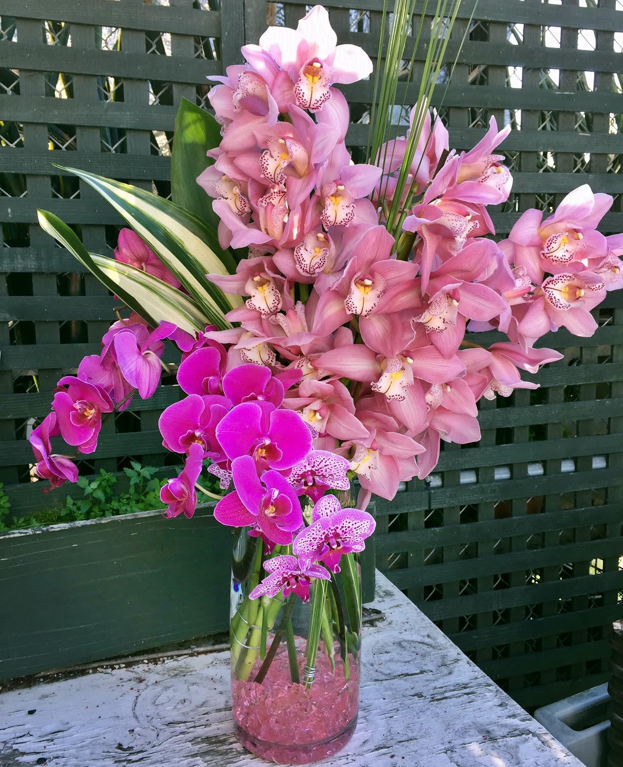 Pink orchids arranged in a tall glass vase