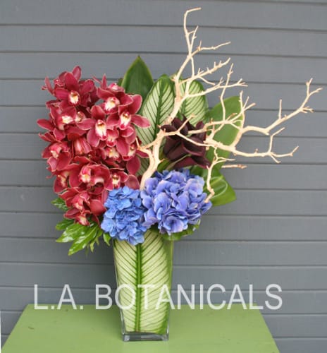 Tall vase arrangement with red orchids and blue hydrangeas