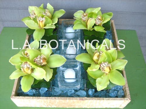Four green orchid blooms arranged around glass candle holders in a tray.