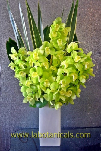 Green orchid arrangement in a tall white vase