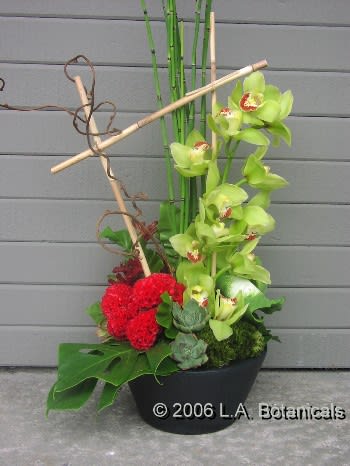 Tall floral arrangement with green orchids and red blooms in a black bowl