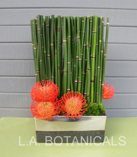 Orange pincushion flowers arranged with tall bamboo in a rectangular container.