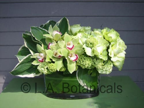 Green orchid and hydrangea arrangement in a glass vase