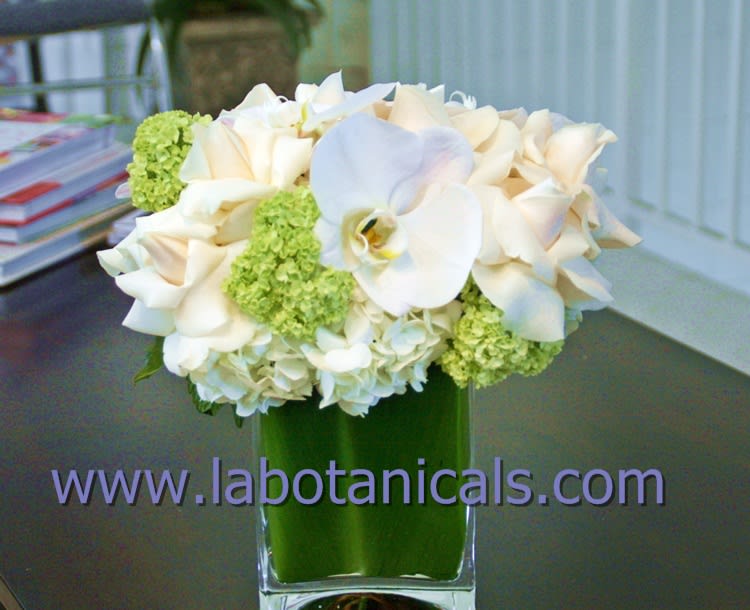 White orchids and green hydrangeas in a clear glass vase