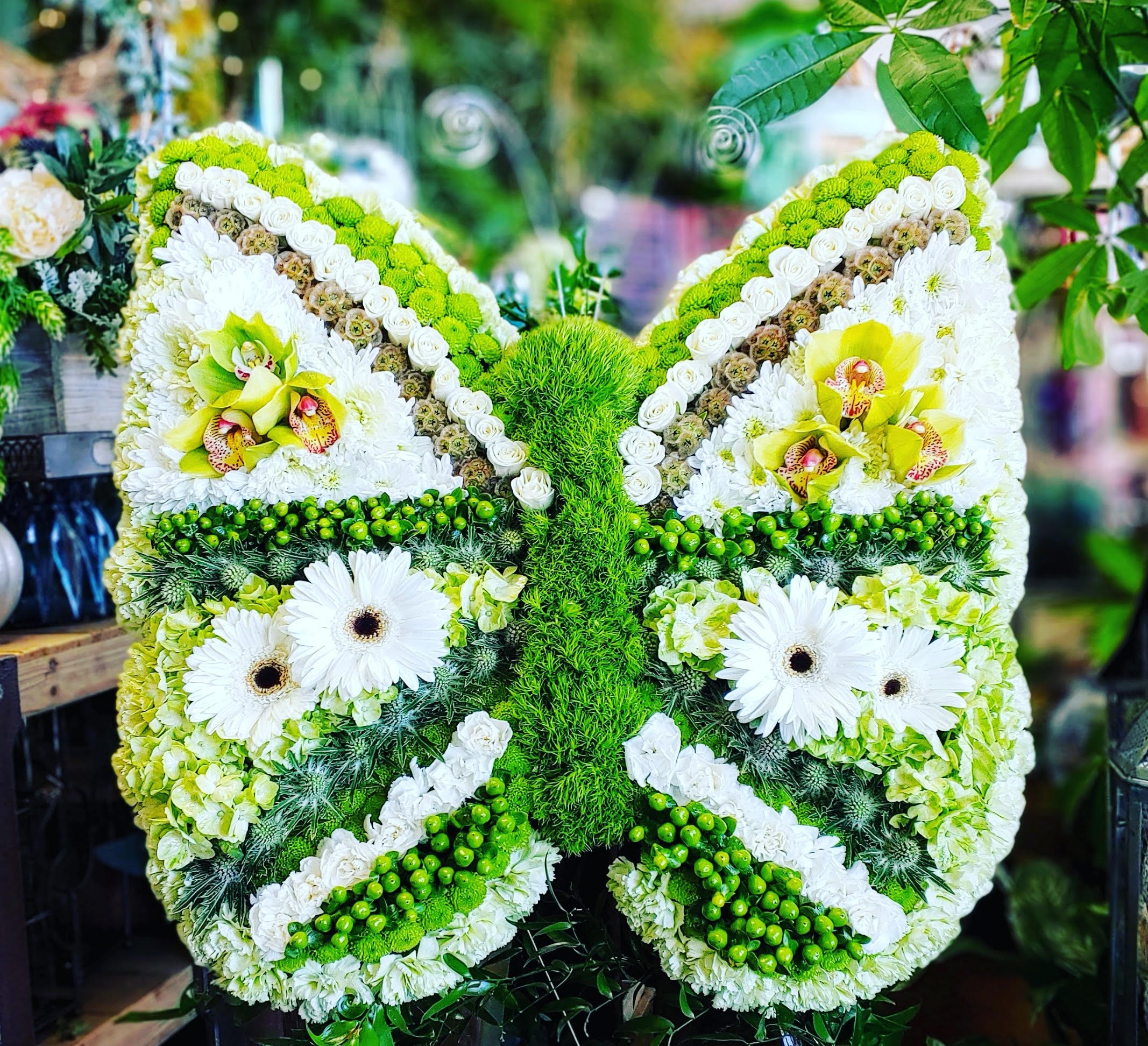 Butterfly-shaped floral arrangement in white and green with orchids and daisies