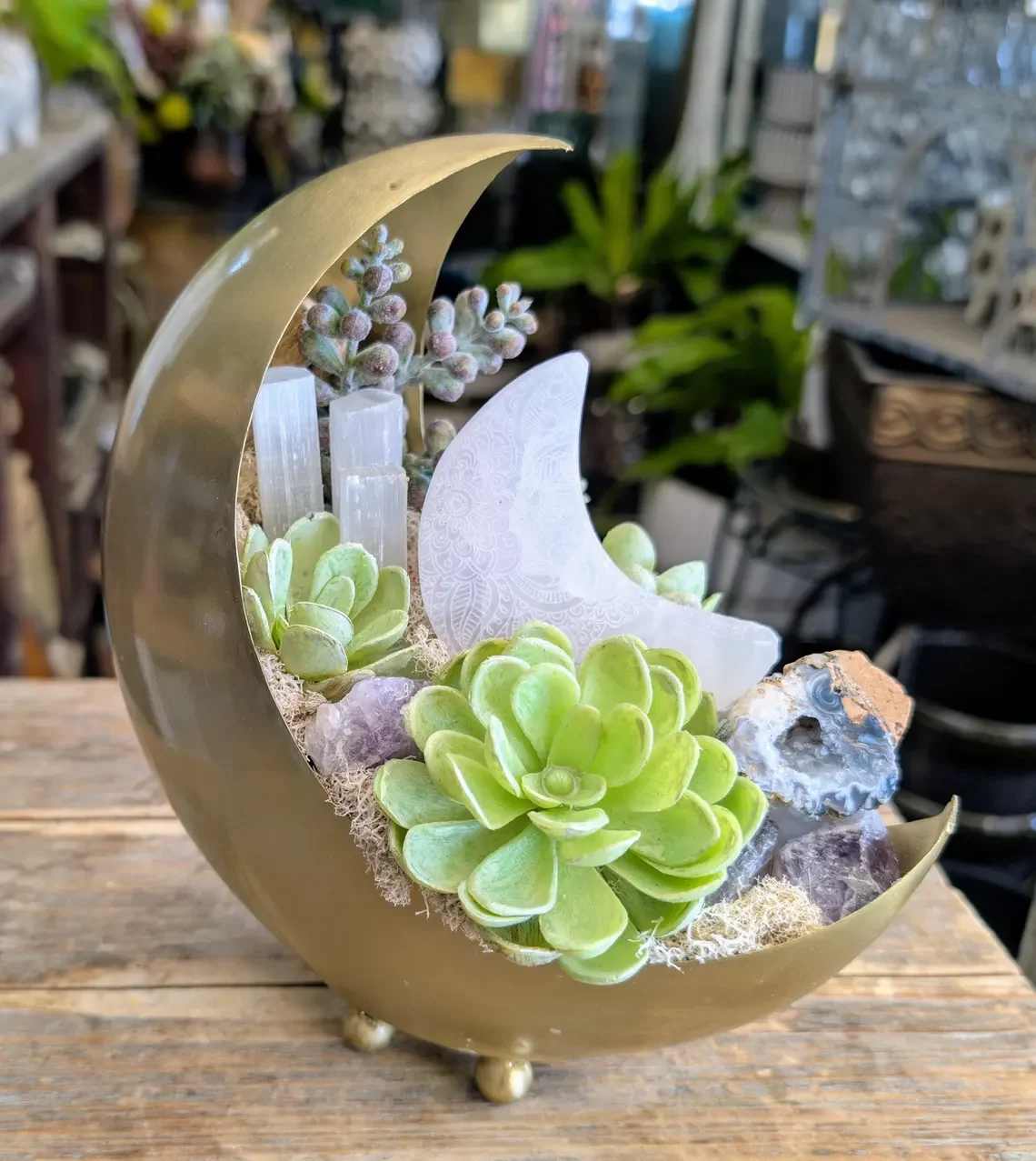 Moon-shaped planter with succulents and a decorative crescent moon