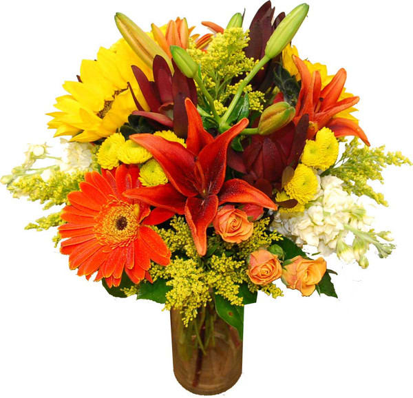 cozy - Flowers Included:  Sunflowers: 2 (Large, 3) Orange Lilies: 2 (Large, 4) Orange Gerbera Daisies: 2(Large, 3) Safari Sunsets: 3 (Large, 4) Salidagos: 5 (Large, 8) Orange Spring Roses: 2 (Large, 4) White Stock: 2 (Large, 3) Yellow Button Poms: 3 (Large, 5) Also Included:  Vase &amp; Greenery