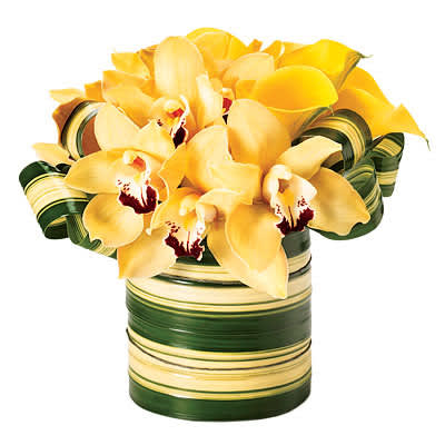 Sunshine: Yellow roses with cymbidium orchids. $80.00 - A modern uplifting design for all occasions.