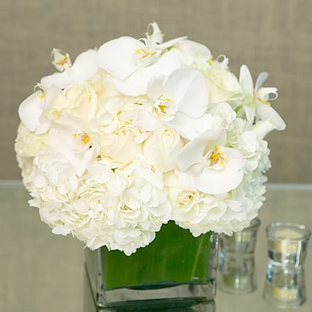 Pearl Elegance - "White Designers Choice has the dimensions of: a base of 6"", a head of 12"", and a height of 12"". The arrangement includes lovely all white Roses, Hydrangeas and seasonal Orchids. It really is quite an elegant design and it makes a wonderful gift idea for any occasion.