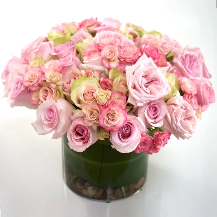 Spring Roses - David Z Designs - 100 Light, medium and hot Pink Roses in a leafed Cylinder. Approx.: 18: Tall