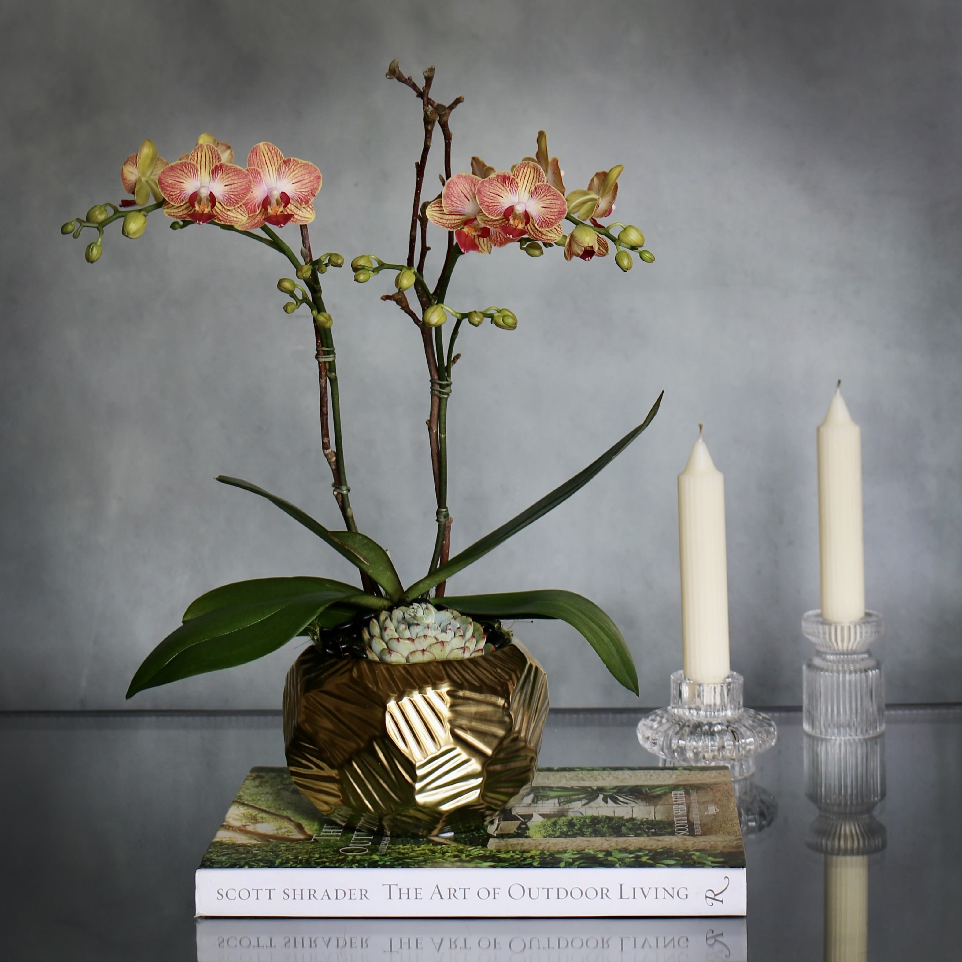 Geometric &amp; Bronze  - Our peach and bronze mini Orchids are a unique touch to a classic plant. Accented with a golden/bronze geometric vase is a succulent to tie the piece together. 