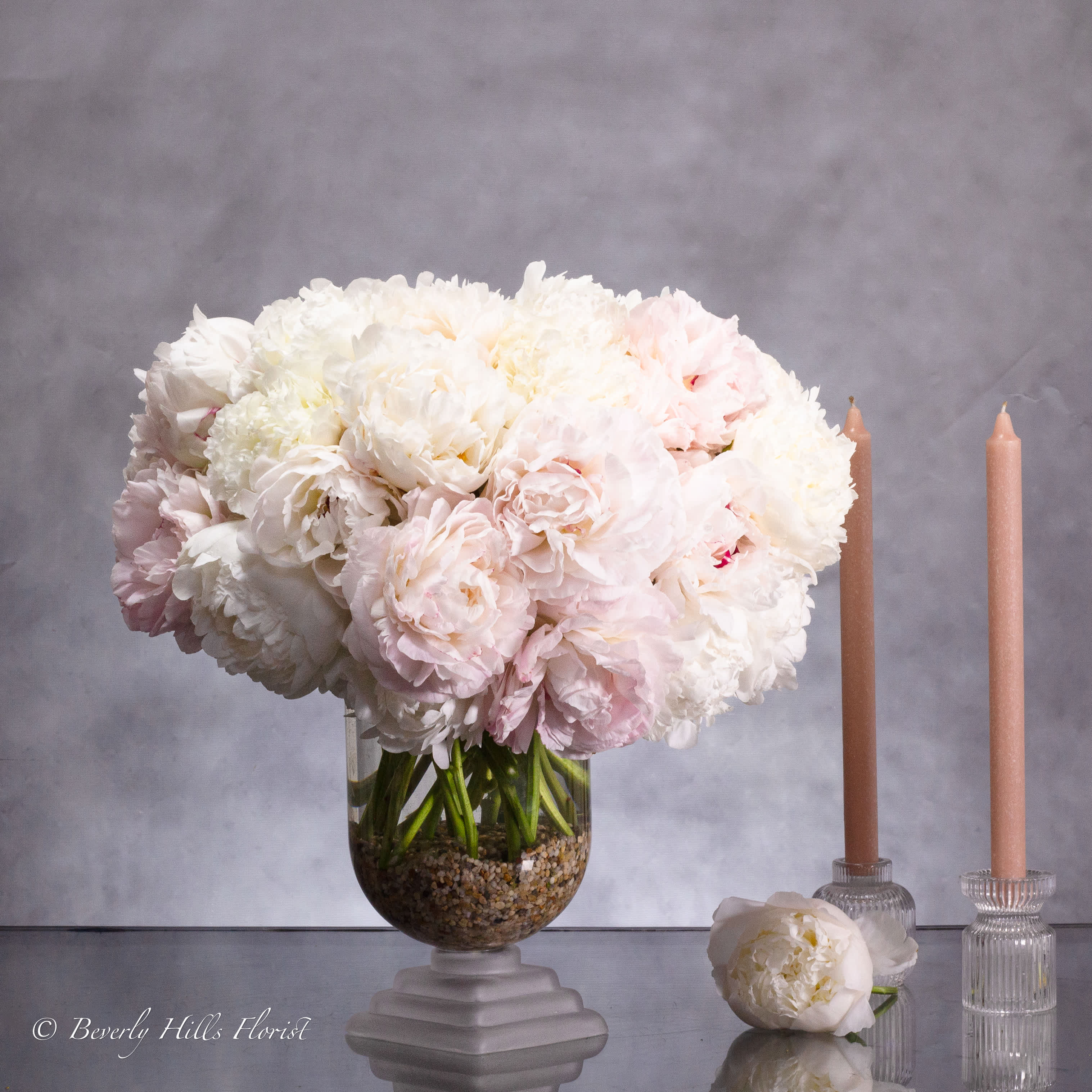 A PEONY FAIRY TALE - Same day delivery from your local florist! Delight in the ethereal beauty of this luxurious floral arrangement featuring 50 stems of white and blush peonies. Housed in an elegant 12-inch pedestal vase with rock accents, this ensemble exudes sophistication and grace. The striking display showcases the delicate peony stems exposed, creating a visually captivating arrangement that seamlessly balances compact elegance with abundant beauty. Elevate your space with this stunning centerpiece that captures the essence of timeless charm and natural elegance