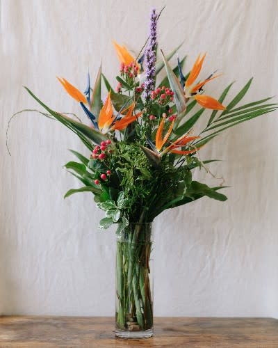 Tropical Birds - Stately birds of paradise will draw the eye to this vase.  Purple liatris and red hypericum berries compliment the bright orange and blue tones.  Palm greens and curly willow complete this arrangement.