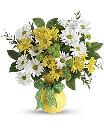 Teleflora's Daisies And Dots Bouquet - Pure joy! Brighten any occasion with this sunny mix of golden and white daisies in a cheerful yellow vase. A spotty dotty bow adds a dash of fun! This happy bouquet includes white and yellow daisy spray chrysanthemums, green button spray chrysanthemums, lemon leaf, and parvifolia eucalyptus. Delivered in Teleflora's Yellow Serendipity vase. Orientation: All-Around