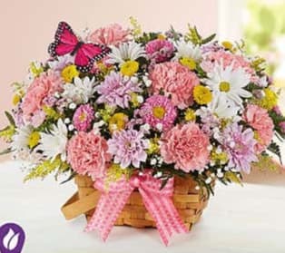 blossoming blooms basket - All-around arrangement with pink Matsumoto asters, carnations, yellow button poms and white daisy poms; accented with baby’s breath, assorted greenery and butterfly pick (color and style may vary) Our florists select the freshest flowers available, so colors, varieties and container may vary due to local availability