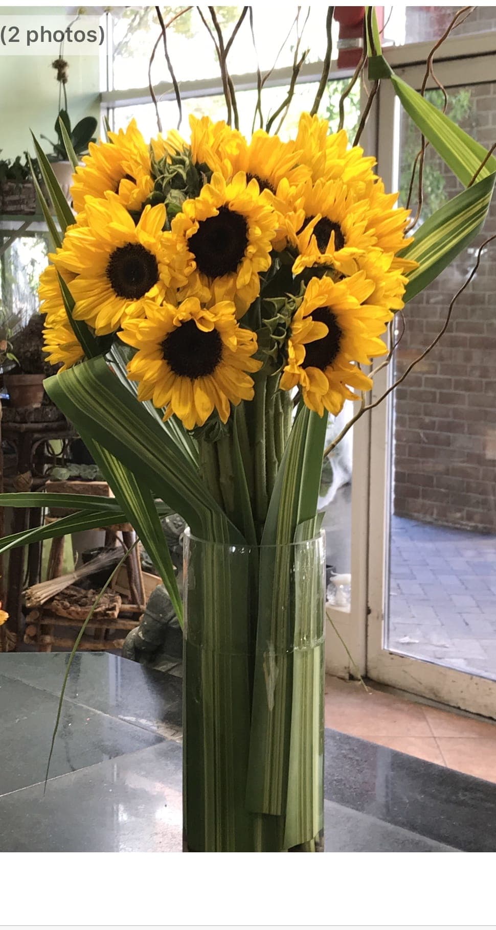 Hello Sunshine  - Sunflowers modern design 